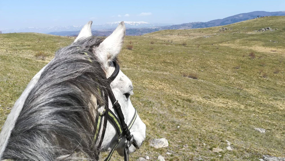 Bulgaria | Trail Ride | Horse Riding Holiday | Sredna Gora | HorseXplore