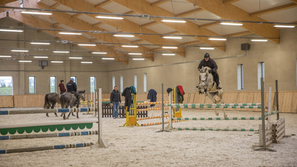 Poland Masurien Jumping Dressage Trail Ride - 