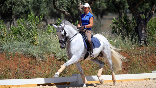 Horse riding holiday | Portugal | Dressage | horseXplore ...