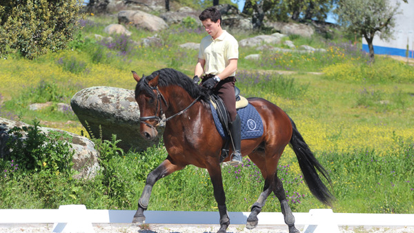 Horse riding holiday | Portugal | Dressage | horseXplore ...